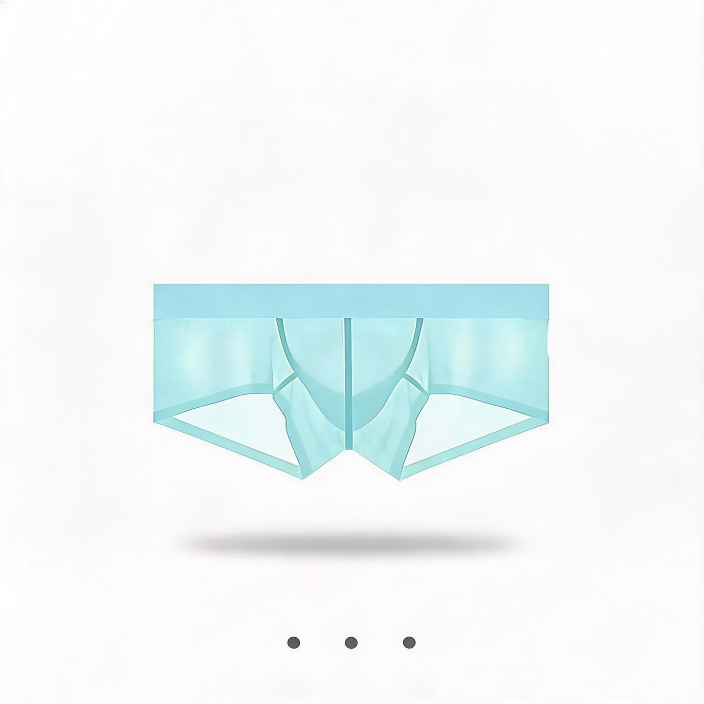 ZDSheer Ice Silk Briefs