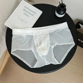 QS Sheer Ice Silk Breathable Briefs