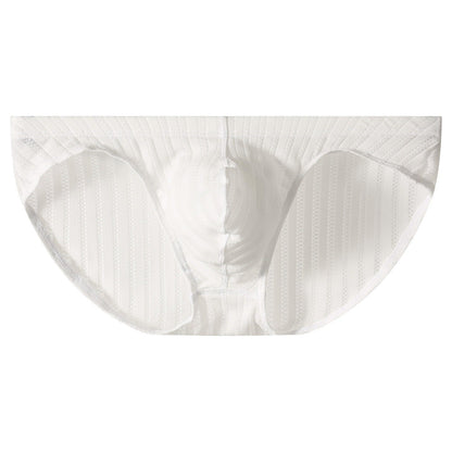 QS Striped Mesh Sexy Briefs