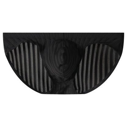 QS Striped Mesh Sexy Briefs