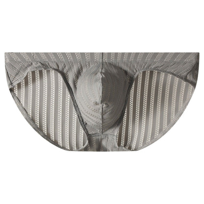 QS Striped Mesh Sexy Briefs