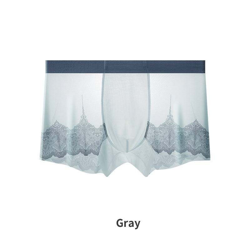 QS Ultra-thin Mesh Lace Sexy Boxer Briefs