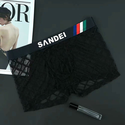 QS See-through Mesh Sexy Boxer Briefs