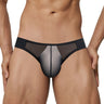 QS Sheer Low-rise Sexy Briefs