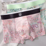 Sheer Ice-Silk Mesh Boxer Briefs