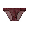 Transparent vertical striped briefs