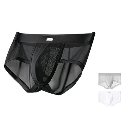 Double Side Sheer Mesh Minimal Low-Rise Briefs