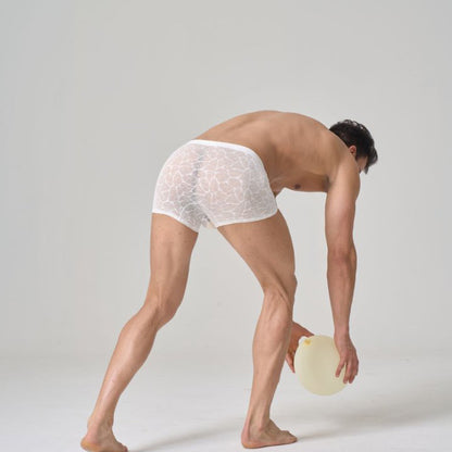 QS Sexy Lace Mesh Boxer Briefs