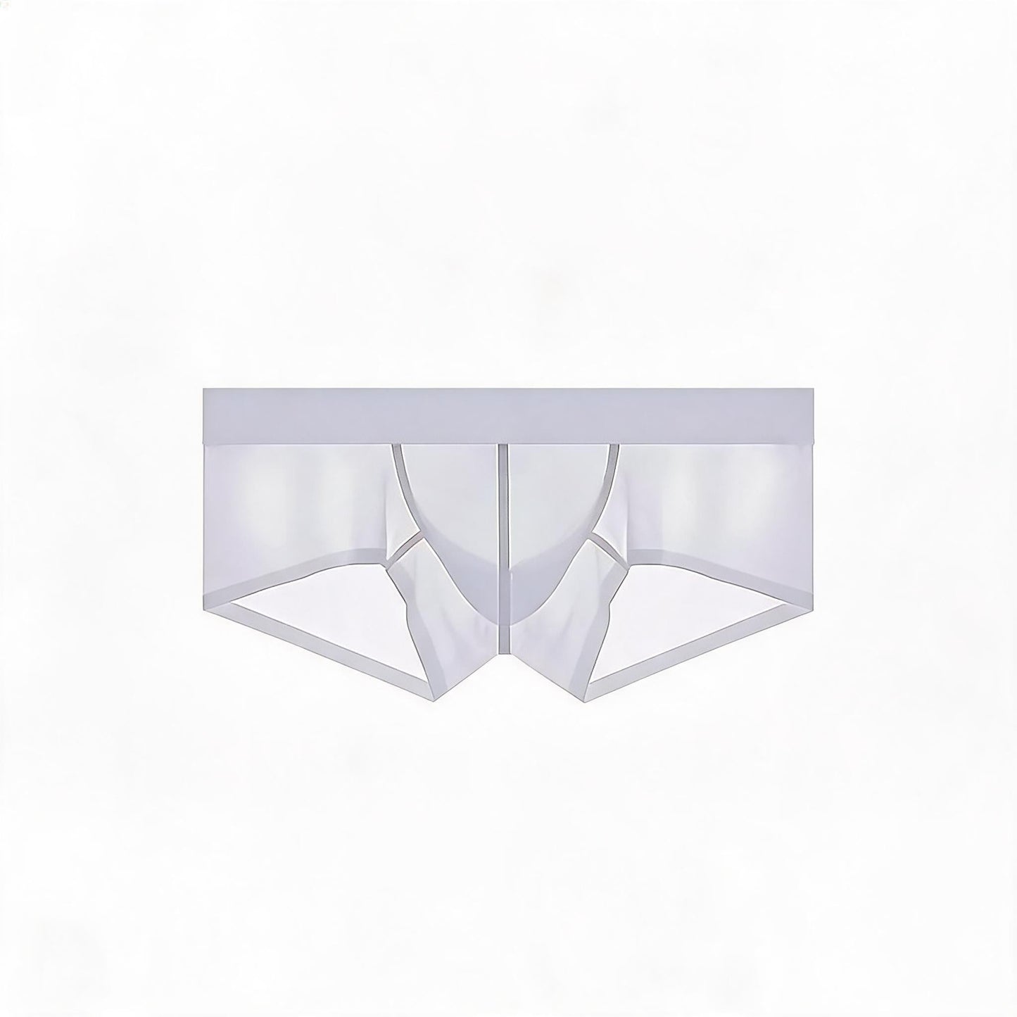 ZDSheer Ice Silk Briefs