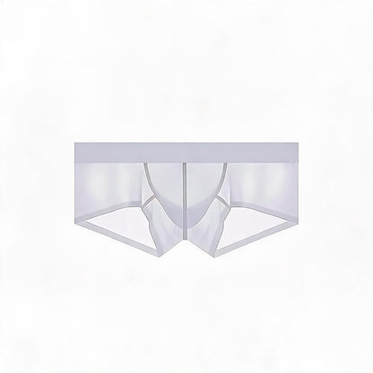 ZDSheer Ice Silk Briefs