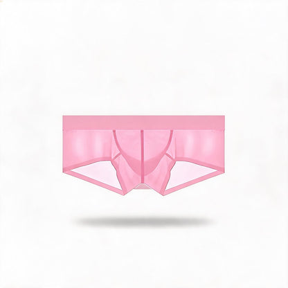 ZDSheer Ice Silk Briefs