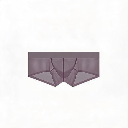 ZDSheer Ice Silk Briefs