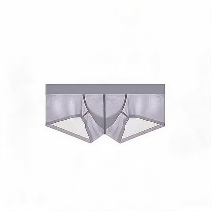ZDSheer Ice Silk Briefs