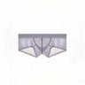 ZDSheer Ice Silk Briefs