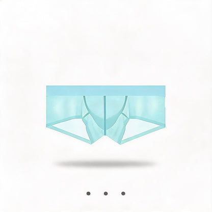 ZDSheer Ice Silk Briefs