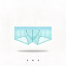 ZDSheer Ice Silk Briefs