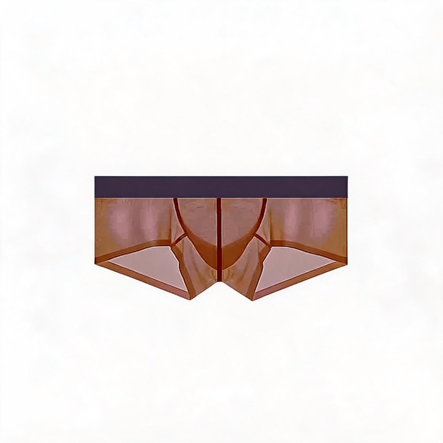 ZDSheer Ice Silk Briefs
