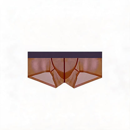 ZDSheer Ice Silk Briefs