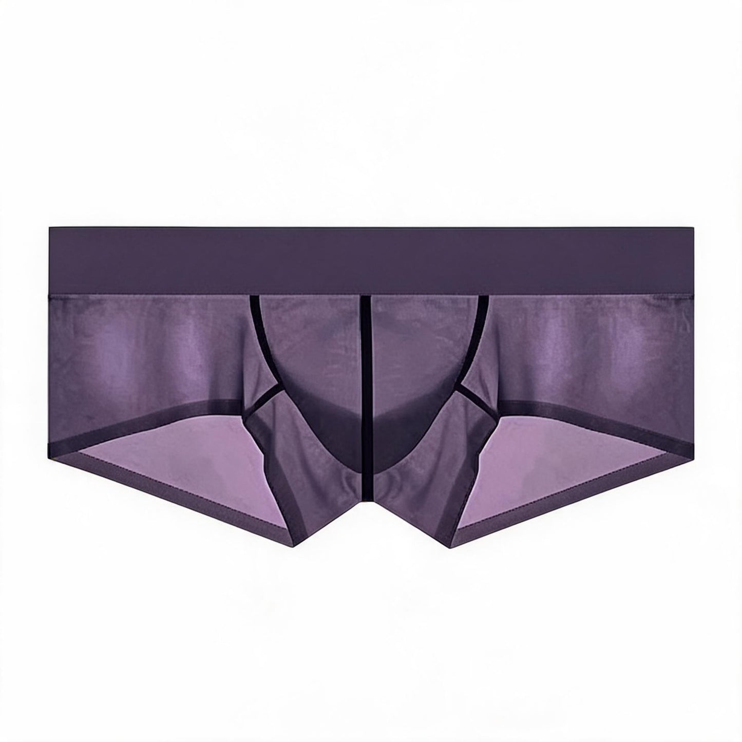 ZDSheer Ice Silk Briefs