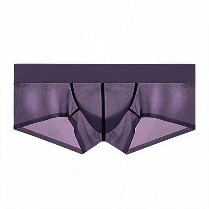 ZDSheer Ice Silk Briefs