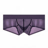 ZDSheer Ice Silk Briefs