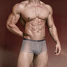 ZD【Highest Repurchase Rate】 Silk-Tech High-Performance Boxer Briefs