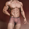 ZD【Highest Repurchase Rate】 Silk-Tech High-Performance Boxer Briefs