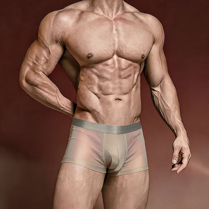 ZD【Highest Repurchase Rate】 Silk-Tech High-Performance Boxer Briefs