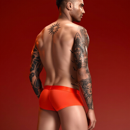 Seamless Mesh Pouch Boxer Briefs