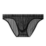 Transparent vertical striped briefs