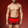 Breathable Mesh Lace Men’s Boxer Briefs
