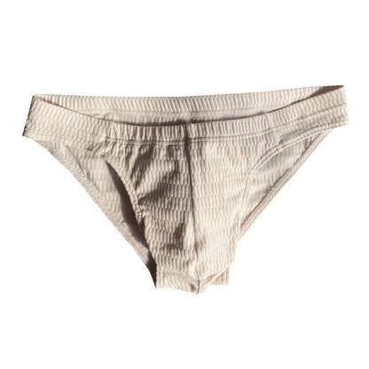 ZDSolid Micro-Mesh Sexy Low-Rise Briefs