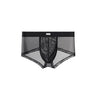 Double Side Sheer Mesh Minimal Low-Rise Briefs