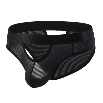 ZDStriped Sheer Briefs