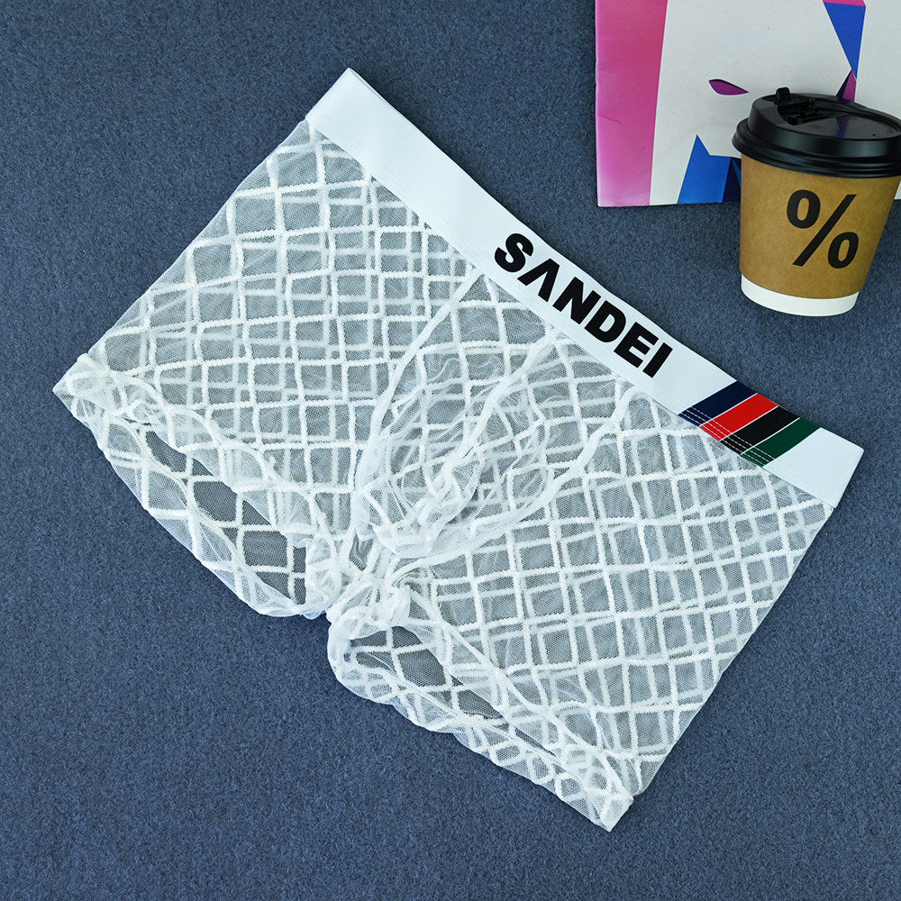 ZD Full‑Mesh See‑Through Breathable Boxers