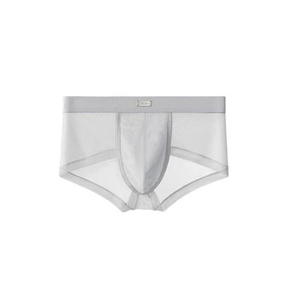 Double Side Sheer Mesh Minimal Low-Rise Briefs