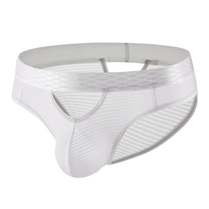 ZDStriped Sheer Briefs