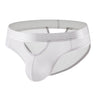 ZDStriped Sheer Briefs