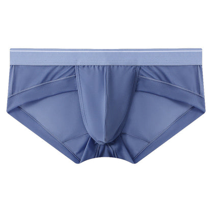 ZD  Sheer Comfort Briefs