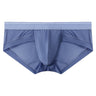 ZD  Sheer Comfort Briefs