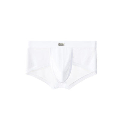 Double Side Sheer Mesh Minimal Low-Rise Briefs