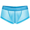 Seamless Mesh Pouch Boxer Briefs
