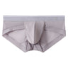 ZD  Sheer Comfort Briefs