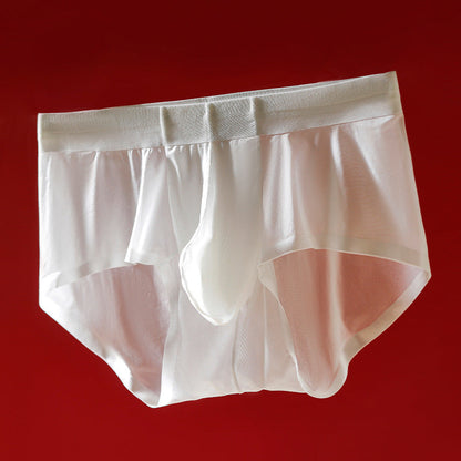 ZD Cloud-Soft Lace Briefs