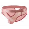 ZDStriped Sheer Briefs