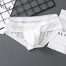 ZD  Sheer Comfort Briefs