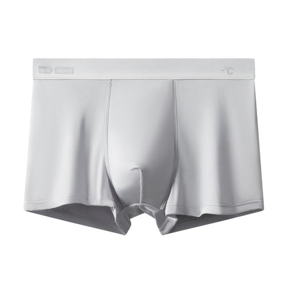 ZD Ice-Cool Boxer Briefs