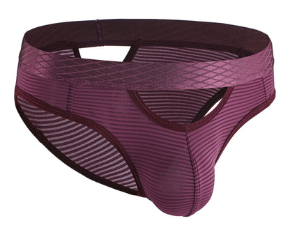 ZDStriped Sheer Briefs