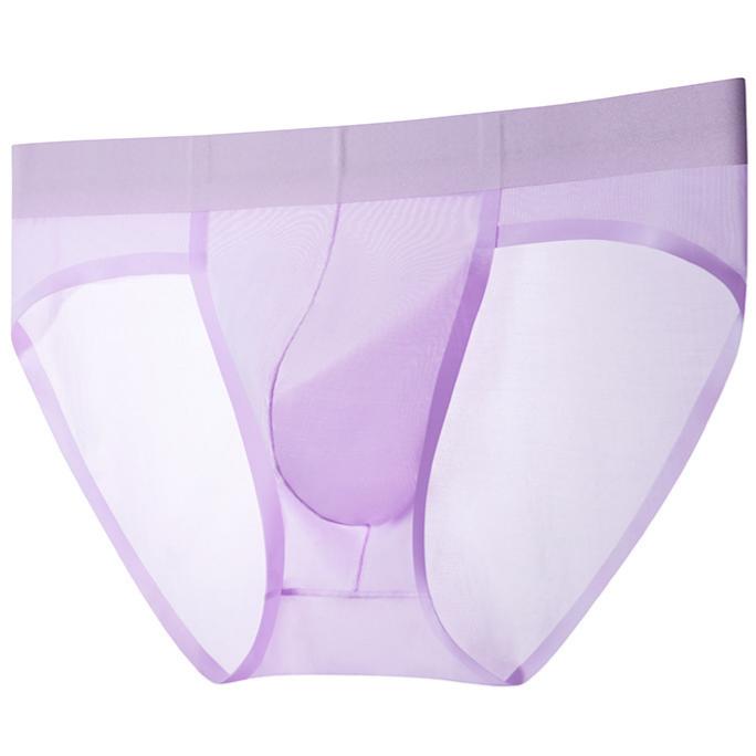 ZD Versatile Designer‑Style See‑Through Briefs