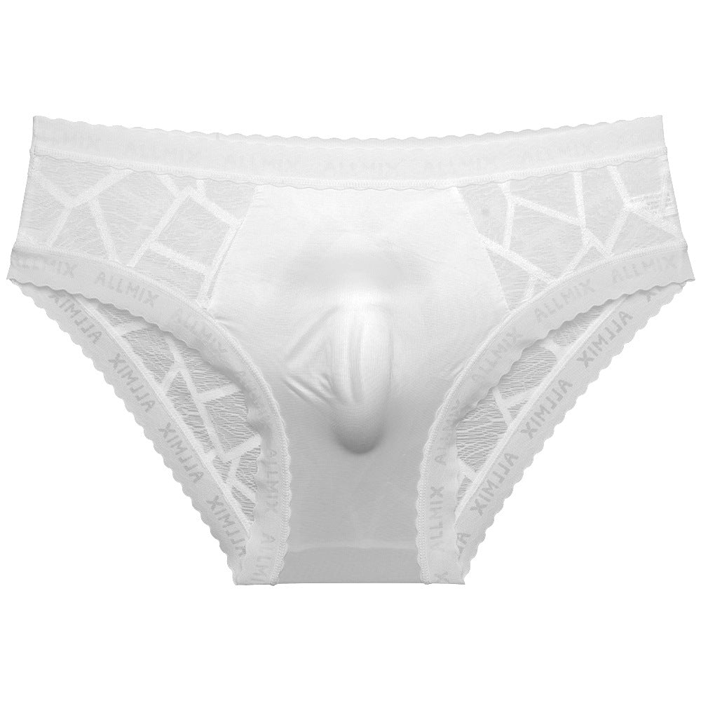 ZD Textured Lace See-Thru Briefs